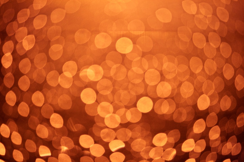 Illustration for article titled Shooting Challenge: Bokeh, Gallery 3